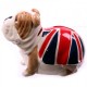 Salvadanaio Bulldog Inglese con bandiera