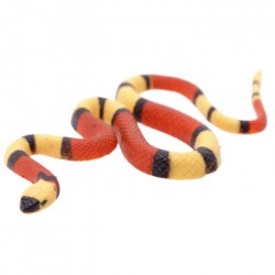 Serpente Allungabile 240 cm - Fionda elastomero